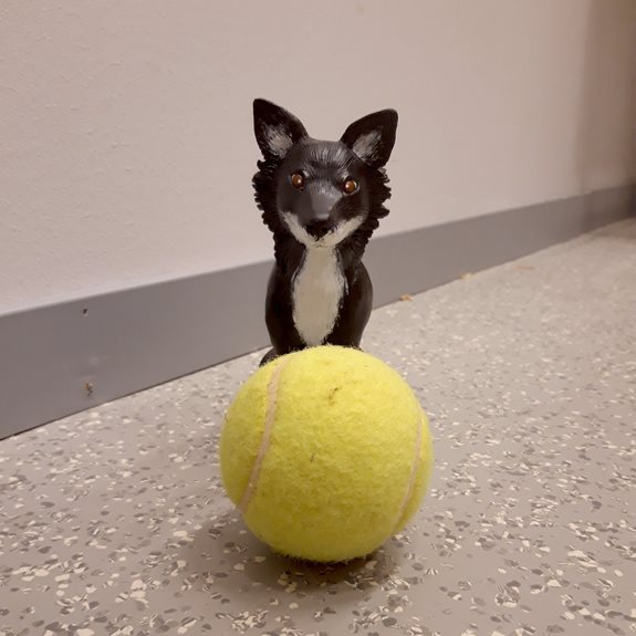 Hunden tillsammans med en tennisboll.