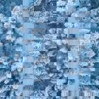 Vinterskog från ovan.