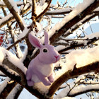 Kaninen sitter i ett träd.