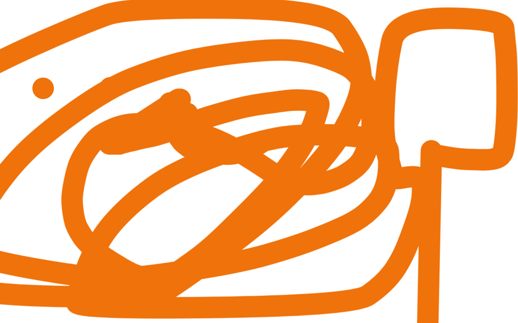 art consept carot orange lovely