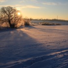 Vinterbild med snö och träd och solen som håller på att gå ner.