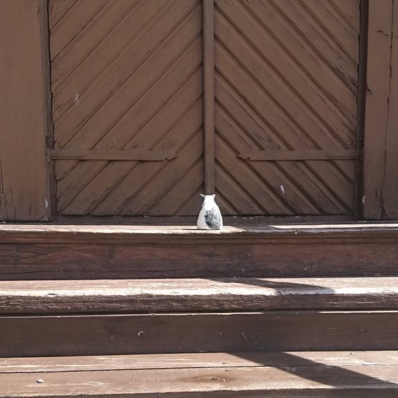 Katten sitter framför en dörr.