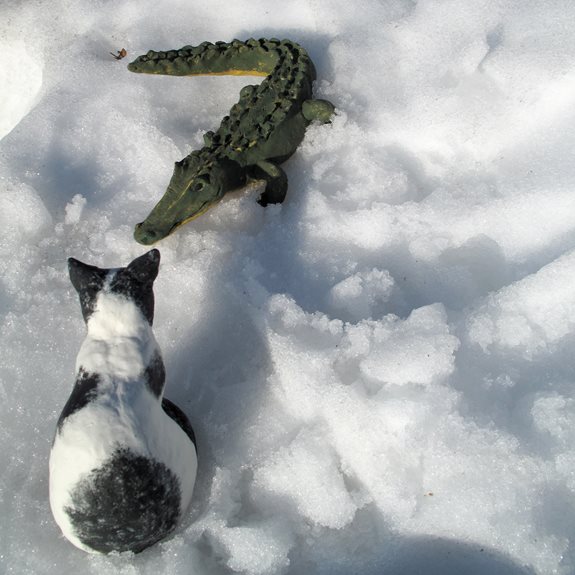 Krokodilen och katten tillsammans i snön.