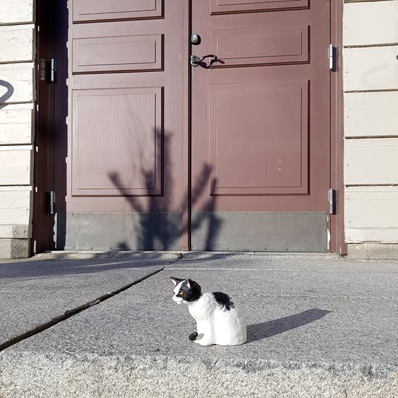 Katten framför en dörr.