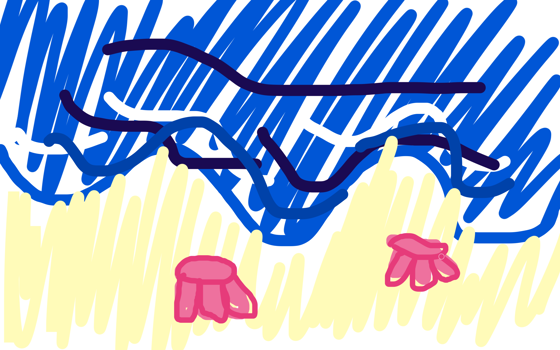 a summer beach!