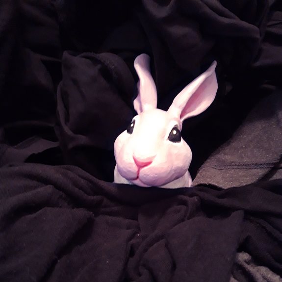 Kaninen sitter bland kläder.