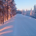 En snötäckt väg med träd på båda sidor.