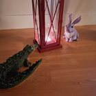 Krokodilen och Kaninen tittar på en ljuslykta.