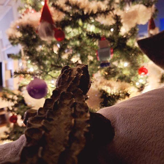 Krokodilen tittar på en julgran.