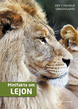 Mini fakta om lejon