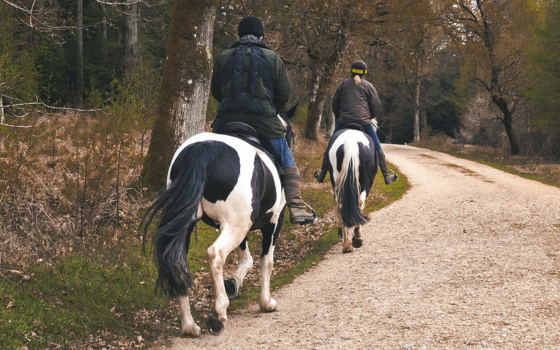 Rida_category_3099_image