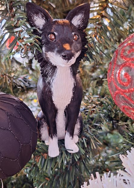 Hunden i en julgran.