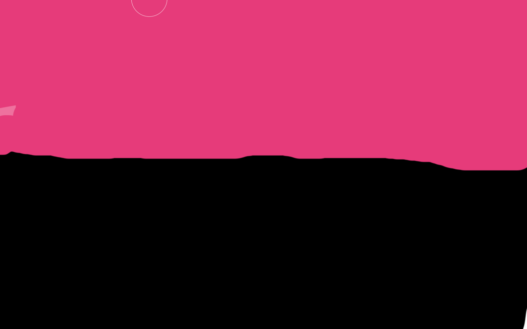 BLACK PINK (2)