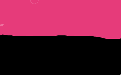 BLACK PINK