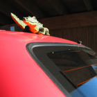 Krokodilen sitter på en bil.