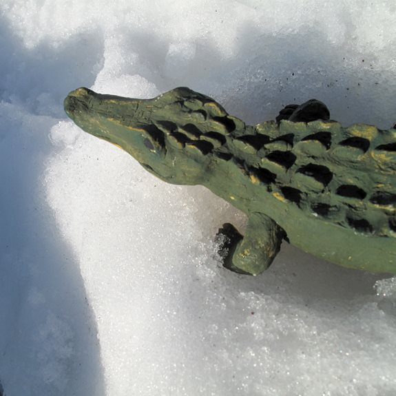 Krokodilen i snö.