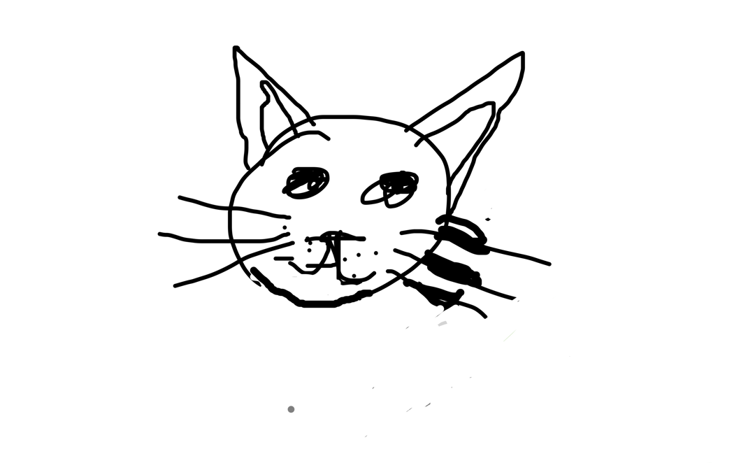Katt (2) (1)