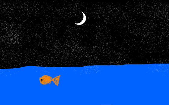 hav, måne, himmel, fisk
