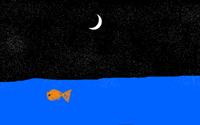 Hav, måne, himmel, fisk