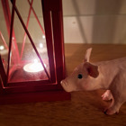 Grisen bredvid en ljuslykta.