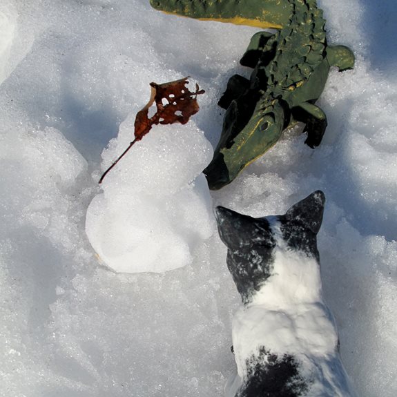 Krokodilen och katten bygger en snögubbe.