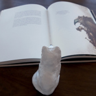 Fjällräven läser en bok.