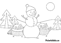 Två Polarugglor bygger en snögubbe