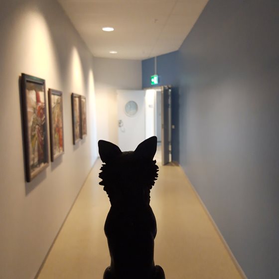 Hunden står i en korridor.