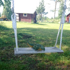 Krokodilen gungar.