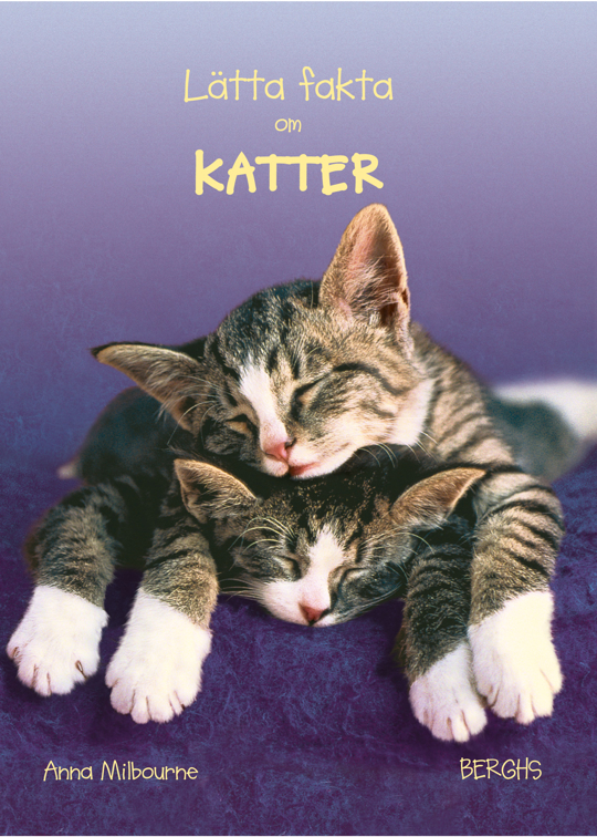 Lätta fakta om katter