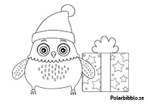 Polarugglan med en julklapp