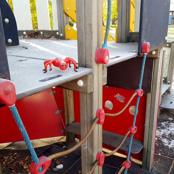 Närbild på spindeln på en klätterställning.