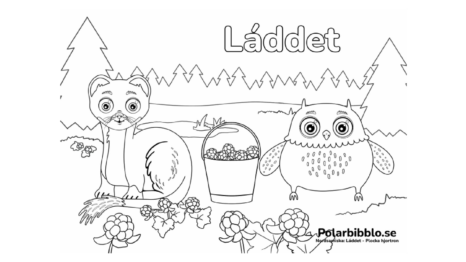 Ugglan Och Hermelinen Plockar Hjortron 1920X1080
