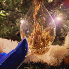 Hajen som tittar på en julgransprydnad.