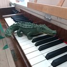 Krokodilen spelar piano.