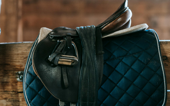 Sadel_category_3116_image