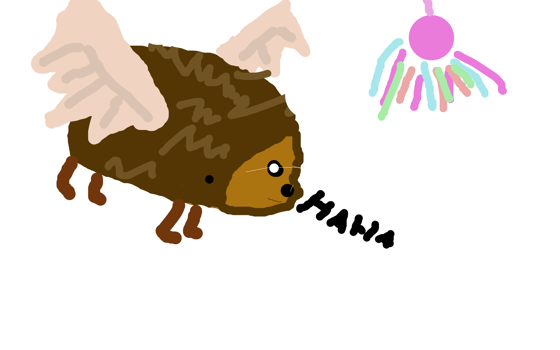 flygkotten