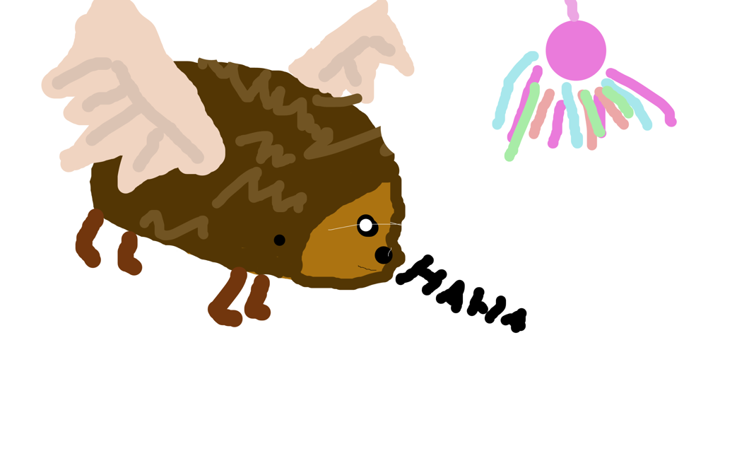 flygkotten