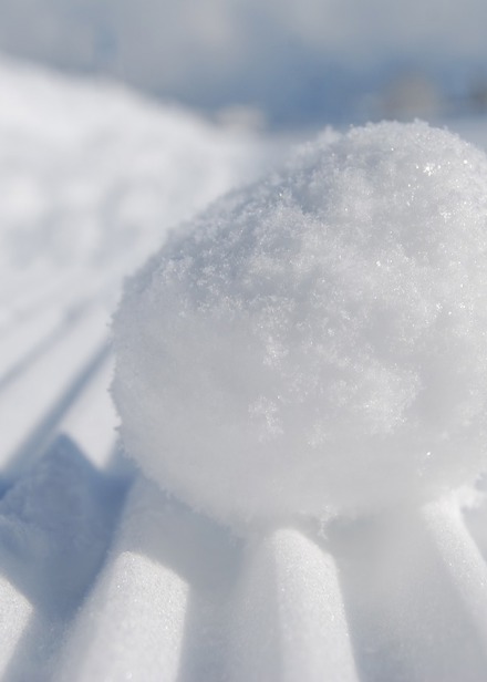 Snöboll