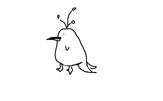 birb