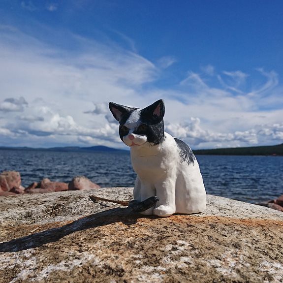 Katten sitter vid vattnet.