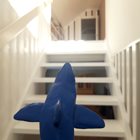Hajen tittar upp för en trappa.