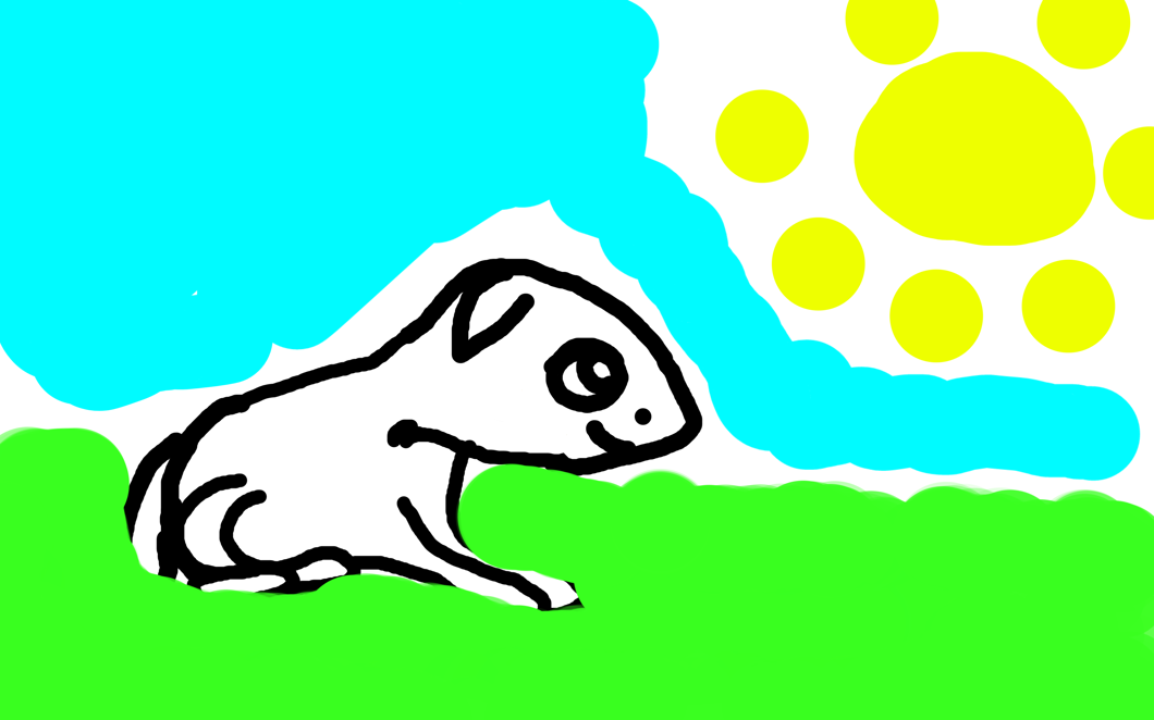 En hund en  sol