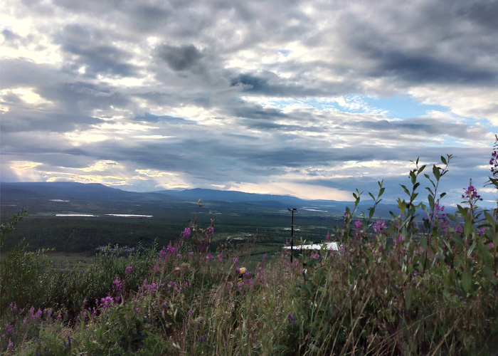 Utsikt från ett berg med blommor och gräs i förgrunden.