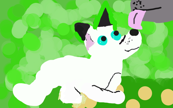 Isunge