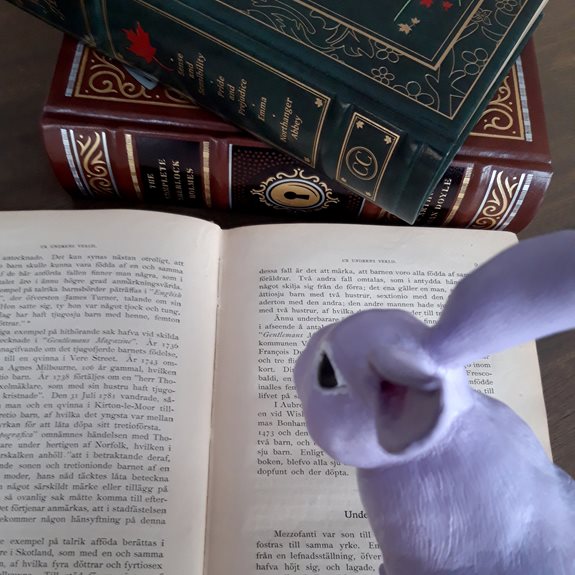 Kaninen läser böcker.