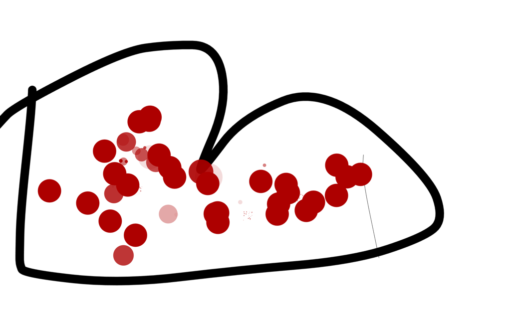 Piratflagga (1) (2)