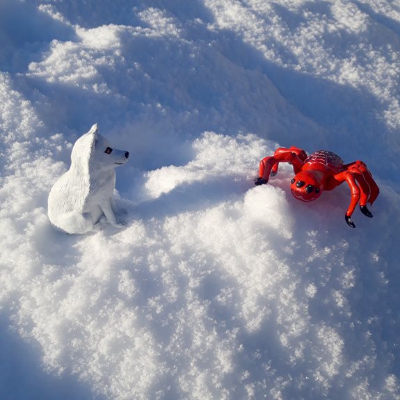 Fjällräven och Spindeln ute i snön.