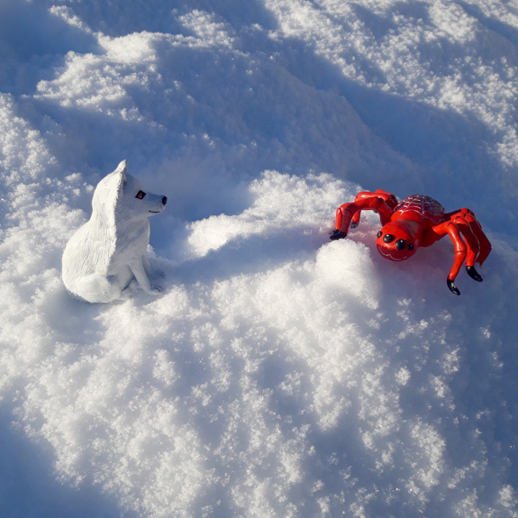 Fjällräven och Spindeln ute i snön.