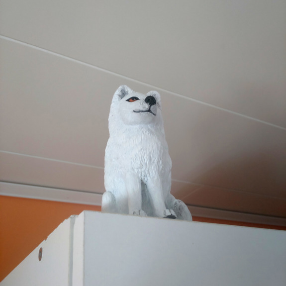 Fjällräven som står högt upp på en garderob.